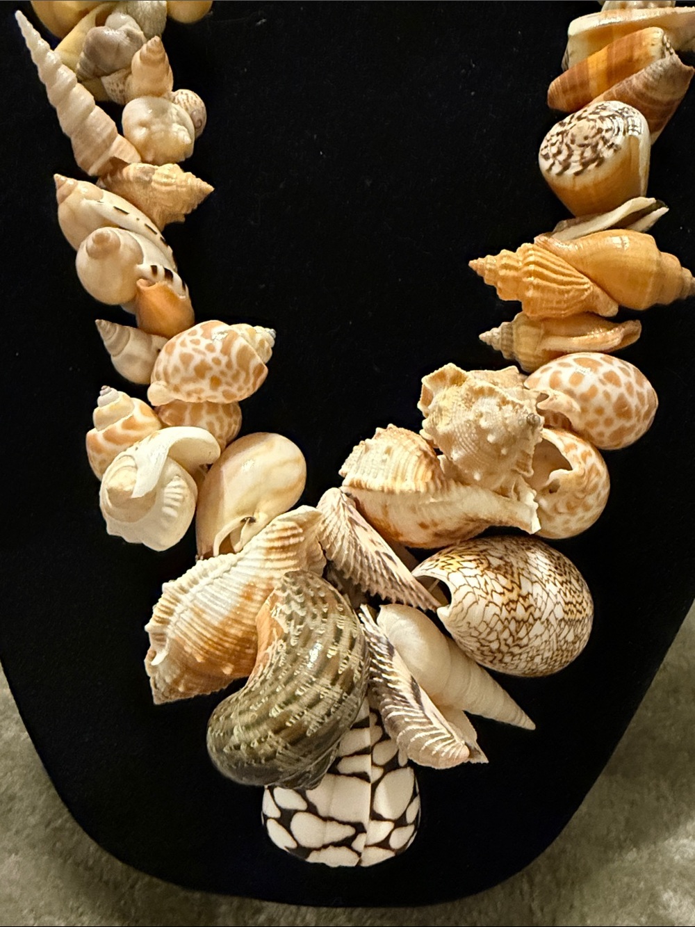 Large Shell Necklace - Picture 2 of 9